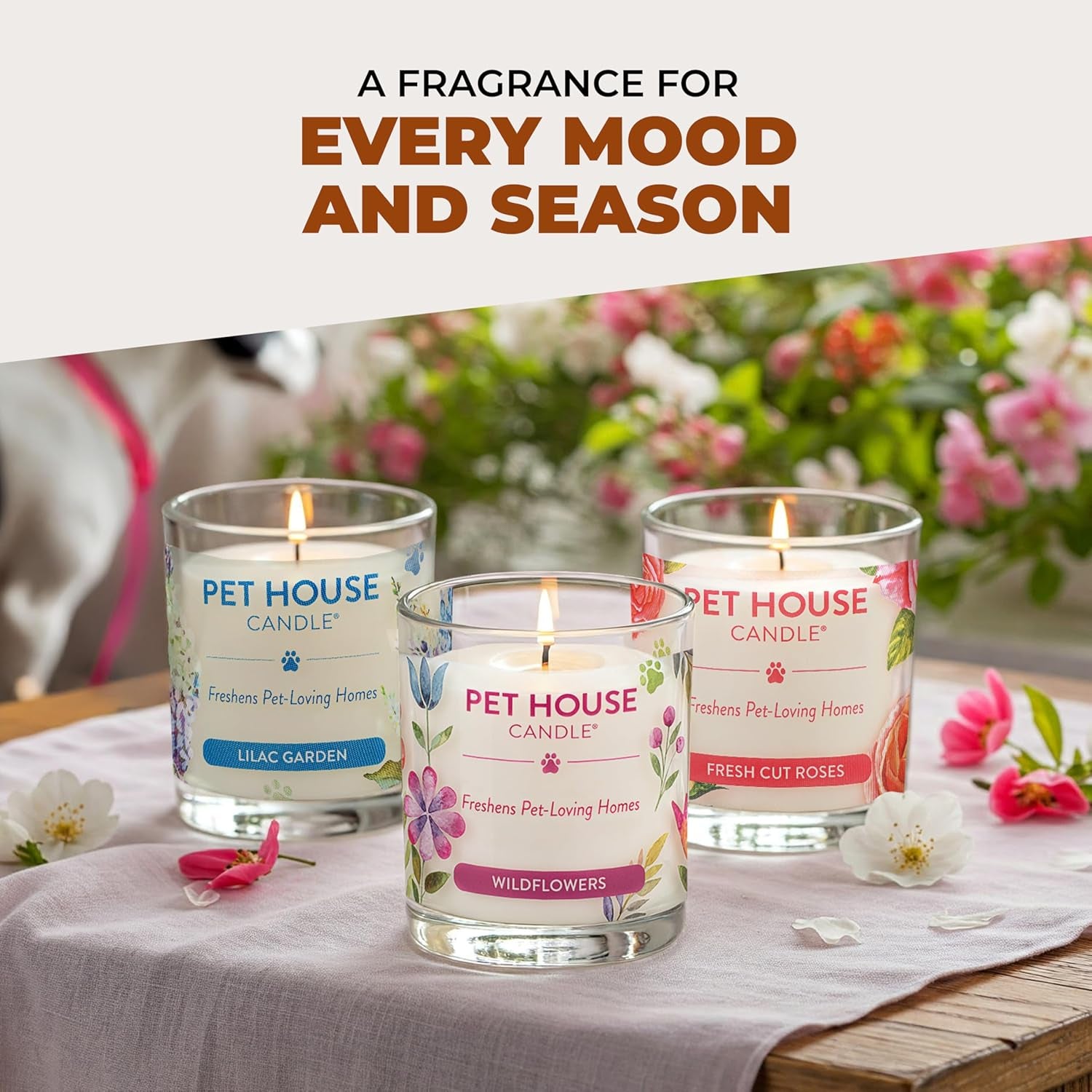 - 100% Natural Soy Wax Candle - Pet Odor Eliminator, up to 60 Hours Burn Time, Non-Toxic, Eco-Friendly Reusable Glass Jar Scented Candles – Pumpkin Spice - Pack of 2